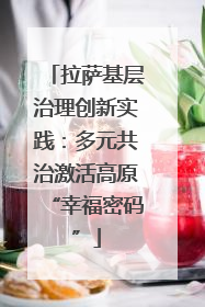 拉萨基层治理创新实践：多元共治激活高原“幸福密码”