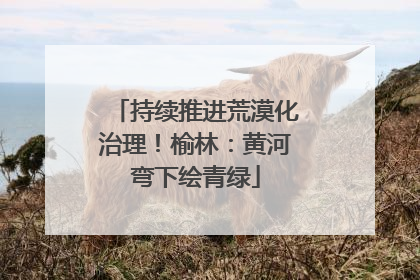 持续推进荒漠化治理！榆林：黄河弯下绘青绿