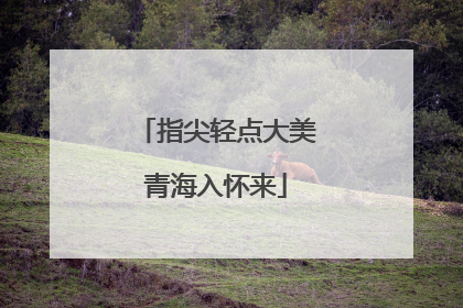 指尖轻点大美青海入怀来
