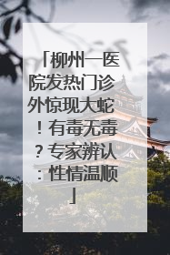 柳州一医院发热门诊外惊现大蛇！有毒无毒？专家辨认：性情温顺
