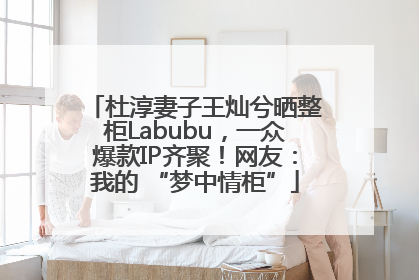 杜淳妻子王灿兮晒整柜Labubu，一众爆款IP齐聚！网友：我的 “梦中情柜”