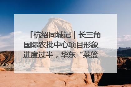杭绍同城记｜长三角国际农批中心项目形象进度过半，华东“菜篮子”建设加码提速！