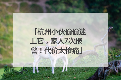 杭州小伙偷偷迷上它，家人7次报警！代价太惨痛