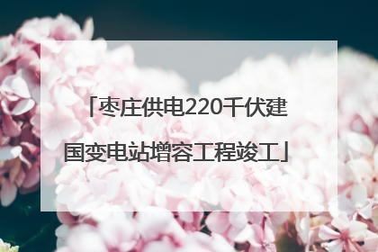 枣庄供电220千伏建国变电站增容工程竣工
