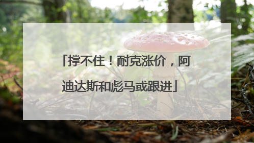 撑不住！耐克涨价，阿迪达斯和彪马或跟进