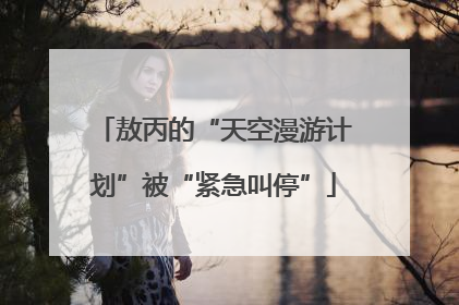 敖丙的“天空漫游计划”被“紧急叫停”