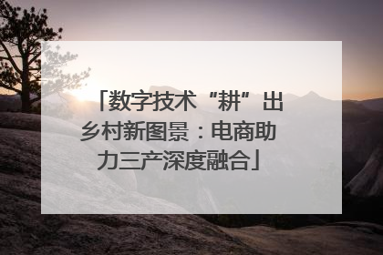 数字技术“耕”出乡村新图景：电商助力三产深度融合