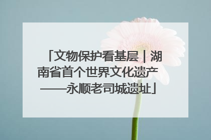 文物保护看基层｜湖南省首个世界文化遗产——永顺老司城遗址