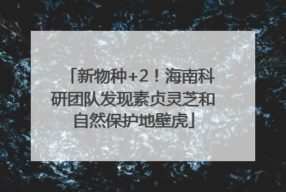新物种+2！海南科研团队发现素贞灵芝和自然保护地壁虎