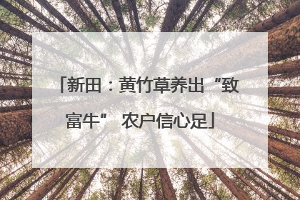 新田：黄竹草养出“致富牛” 农户信心足