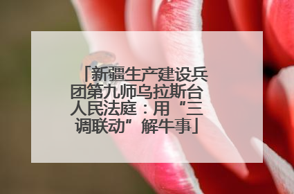 新疆生产建设兵团第九师乌拉斯台人民法庭：用“三调联动”解牛事