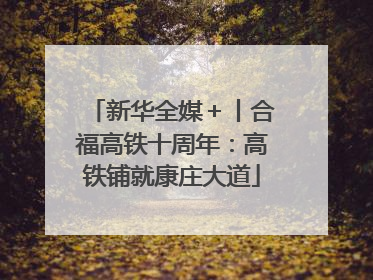 新华全媒＋丨合福高铁十周年：高铁铺就康庄大道