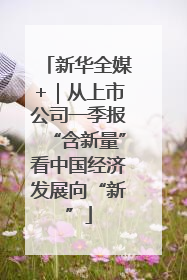 新华全媒+｜从上市公司一季报“含新量”看中国经济发展向“新”