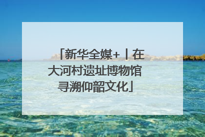 新华全媒+丨在大河村遗址博物馆寻溯仰韶文化