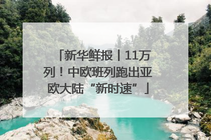 新华鲜报丨11万列！中欧班列跑出亚欧大陆“新时速”