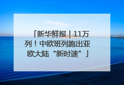 新华鲜报｜11万列！中欧班列跑出亚欧大陆“新时速”