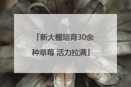 新大棚培育30余种草莓 活力拉满