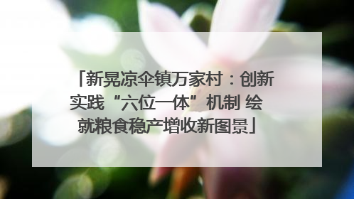 新晃凉伞镇万家村：创新实践“六位一体”机制 绘就粮食稳产增收新图景
