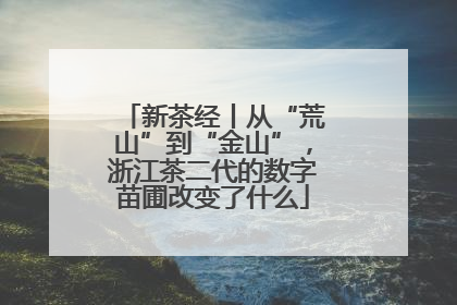 新茶经丨从“荒山”到“金山”，浙江茶二代的数字苗圃改变了什么