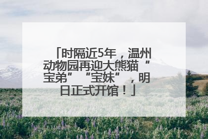 时隔近5年，温州动物园再迎大熊猫“宝弟”“宝妹”，明日正式开馆！