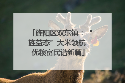 旌阳区双东镇：“旌益态”大米领航 优粮富民谱新篇