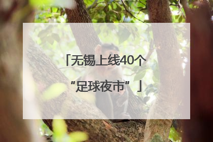 无锡上线40个“足球夜市”