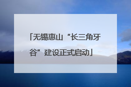 无锡惠山“长三角牙谷”建设正式启动