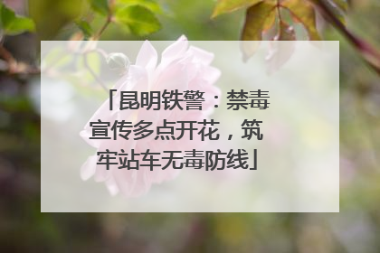 昆明铁警：禁毒宣传多点开花，筑牢站车无毒防线