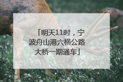 明天11时，宁波舟山港六横公路大桥一期通车