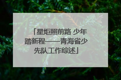 星炬照前路 少年踏新程——青海省少先队工作综述