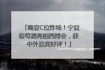 晚宴C位炸场！宁夏葡萄酒亮相西博会，获中外嘉宾好评！