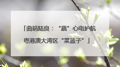曲靖陆良：“蔬”心电护航粤港澳大湾区“菜篮子”