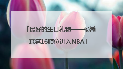 最好的生日礼物——杨瀚森第16顺位进入NBA