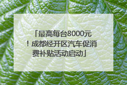 最高每台8000元！成都经开区汽车促消费补贴活动启动