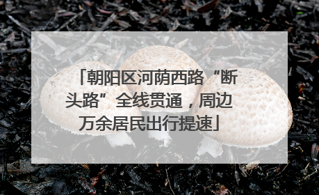 朝阳区河荫西路“断头路”全线贯通，周边万余居民出行提速