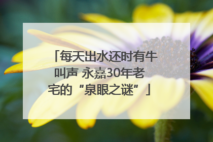 每天出水还时有牛叫声 永嘉30年老宅的“泉眼之谜”