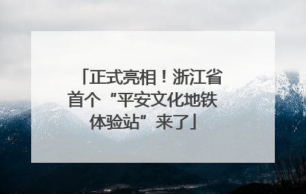 正式亮相！浙江省首个“平安文化地铁体验站”来了