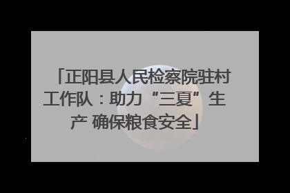 正阳县人民检察院驻村工作队：助力“三夏”生产 确保粮食安全