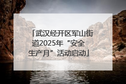 武汉经开区军山街道2025年“安全生产月”活动启动