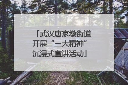 武汉唐家墩街道开展“三大精神”沉浸式宣讲活动