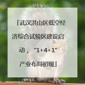 武汉洪山区低空经济综合试验区建设启动，“1+4+1”产业布局初现