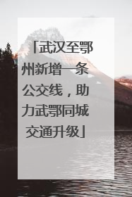 武汉至鄂州新增一条公交线，助力武鄂同城交通升级