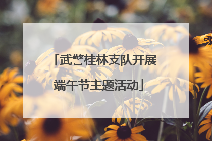 武警桂林支队开展端午节主题活动