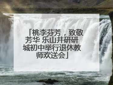桃李芬芳，致敬芳华 乐山井研研城初中举行退休教师欢送会