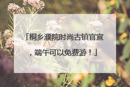 桐乡濮院时尚古镇官宣，端午可以免费游！