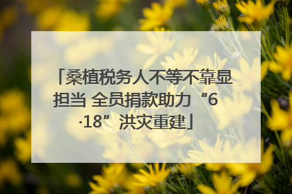 桑植税务人不等不靠显担当 全员捐款助力“6·18”洪灾重建