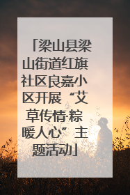 梁山县梁山街道红旗社区良嘉小区开展“艾草传情·粽暖人心”主题活动