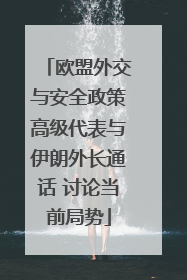欧盟外交与安全政策高级代表与伊朗外长通话 讨论当前局势