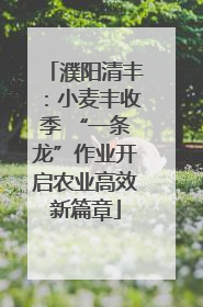 濮阳清丰：小麦丰收季 “一条龙”作业开启农业高效新篇章