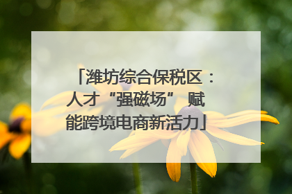 潍坊综合保税区：人才“强磁场” 赋能跨境电商新活力